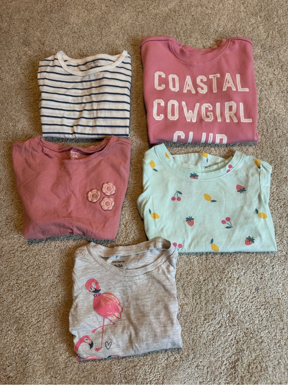 3T Girls Shirt Bundle -Carter’s & Cat & Jack